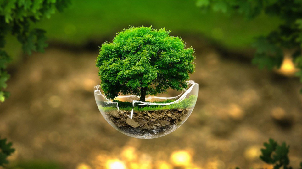 Consultoria em Sustentabilidade